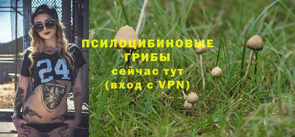 дмт Вязники