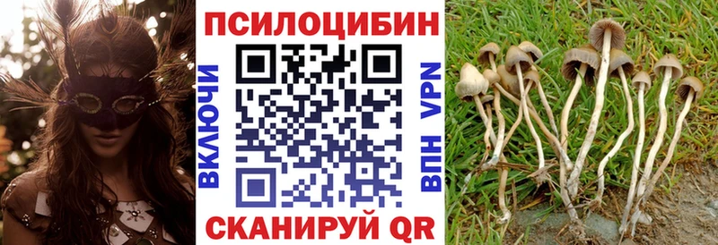 где продают наркотики  Калининград  Псилоцибиновые грибы Psilocybe 